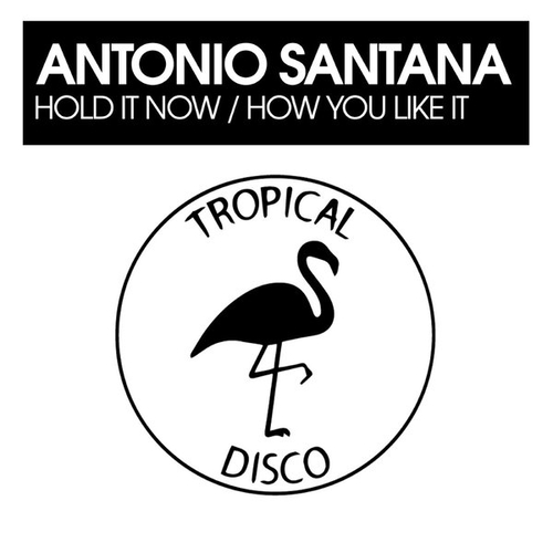 Antonio Santana - Hold It Now - How You Like It [TDR323]
